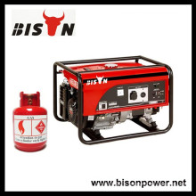 BISON(CHINA) High Quality Double Use Biogas Carburetor Biogas Electricity Generator